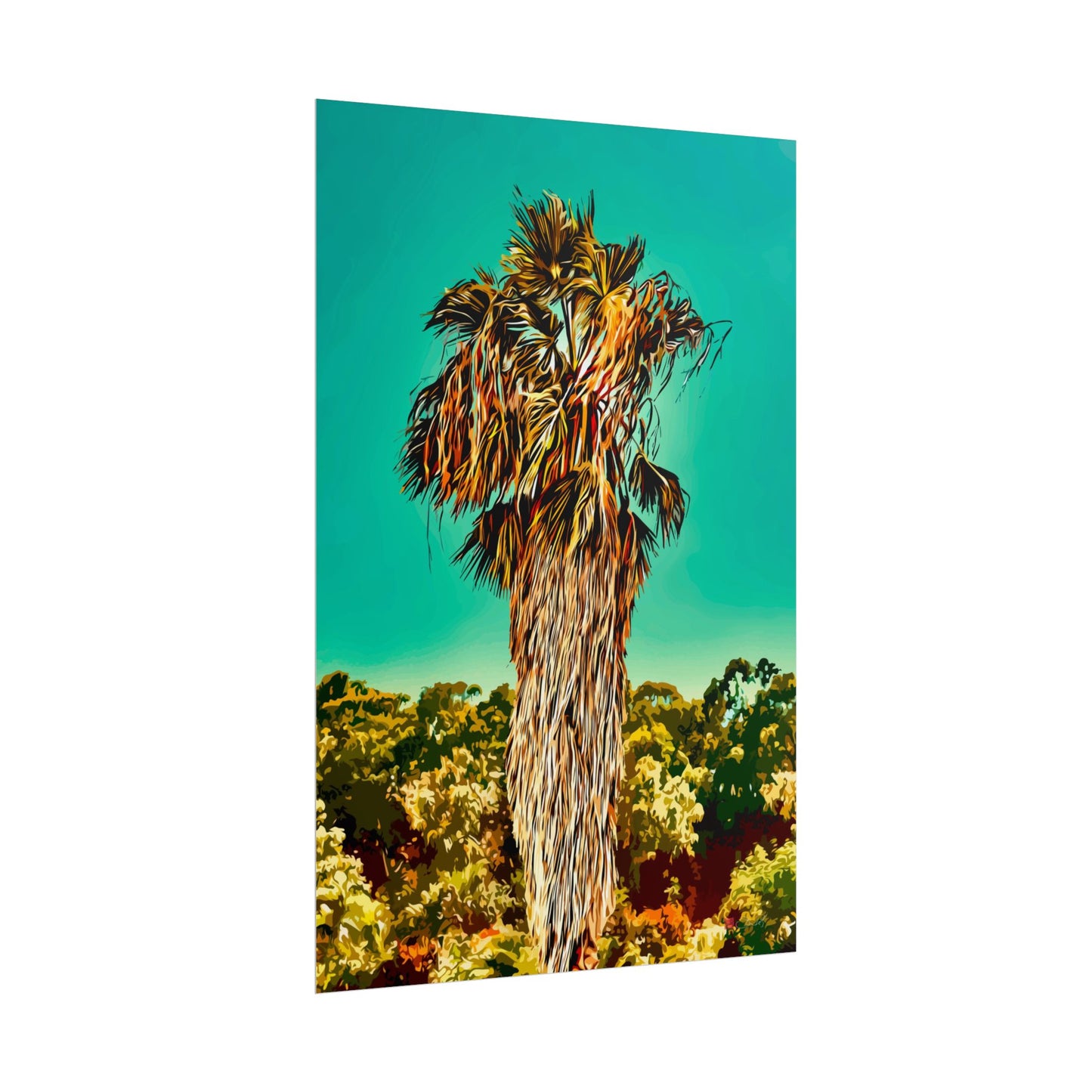 Fan Palm Capricornia - Botanical Art Rolled Poster