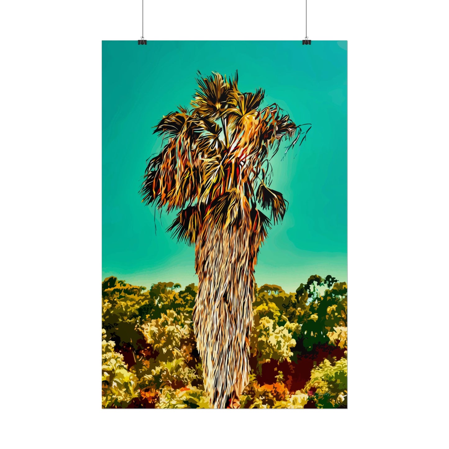 Fan Palm Capricornia - Botanical Art Rolled Poster