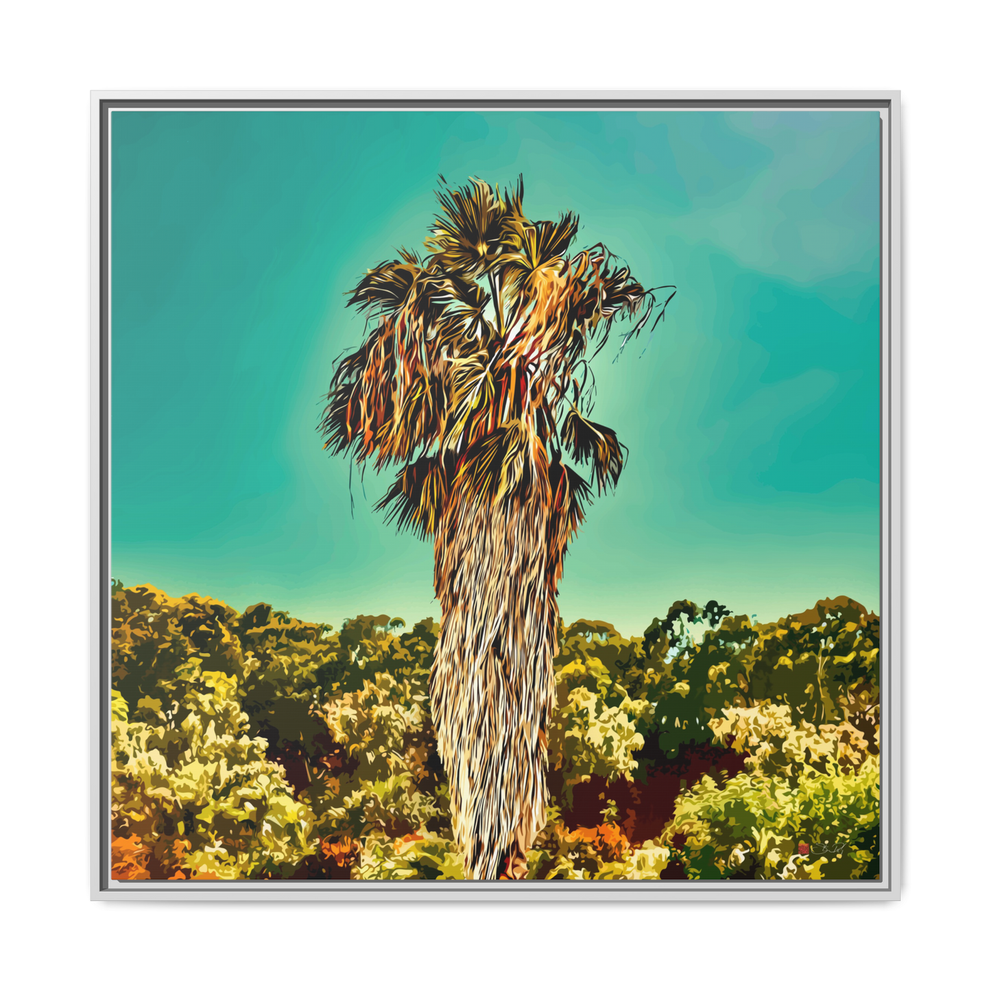 Fan Palm Capricornia - 36x36" Framed Canvas Print