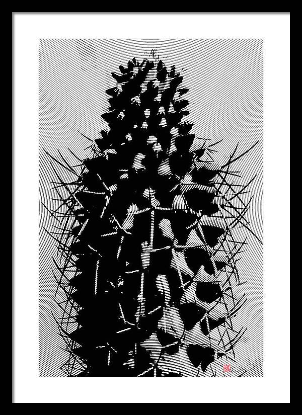 Darkside of Nature - Framed Print - vrmediadecor.vrmedia.com.au