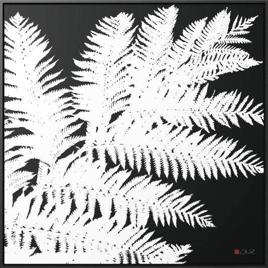 36x36" Framed Canvas Print: "Tree Fern"