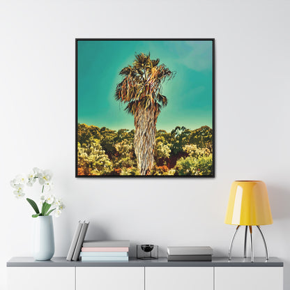 36x36" Framed Canvas Print "Fan Palm Capricornia"