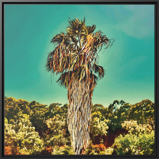 32x32" Framed Canvas: "Fan Palm Capricornia"