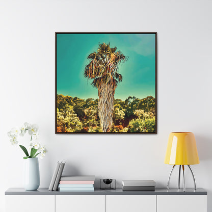 36x36" Framed Canvas Print "Fan Palm Capricornia"