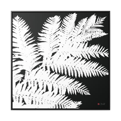 36x36" Framed Canvas Print: "Tree Fern"