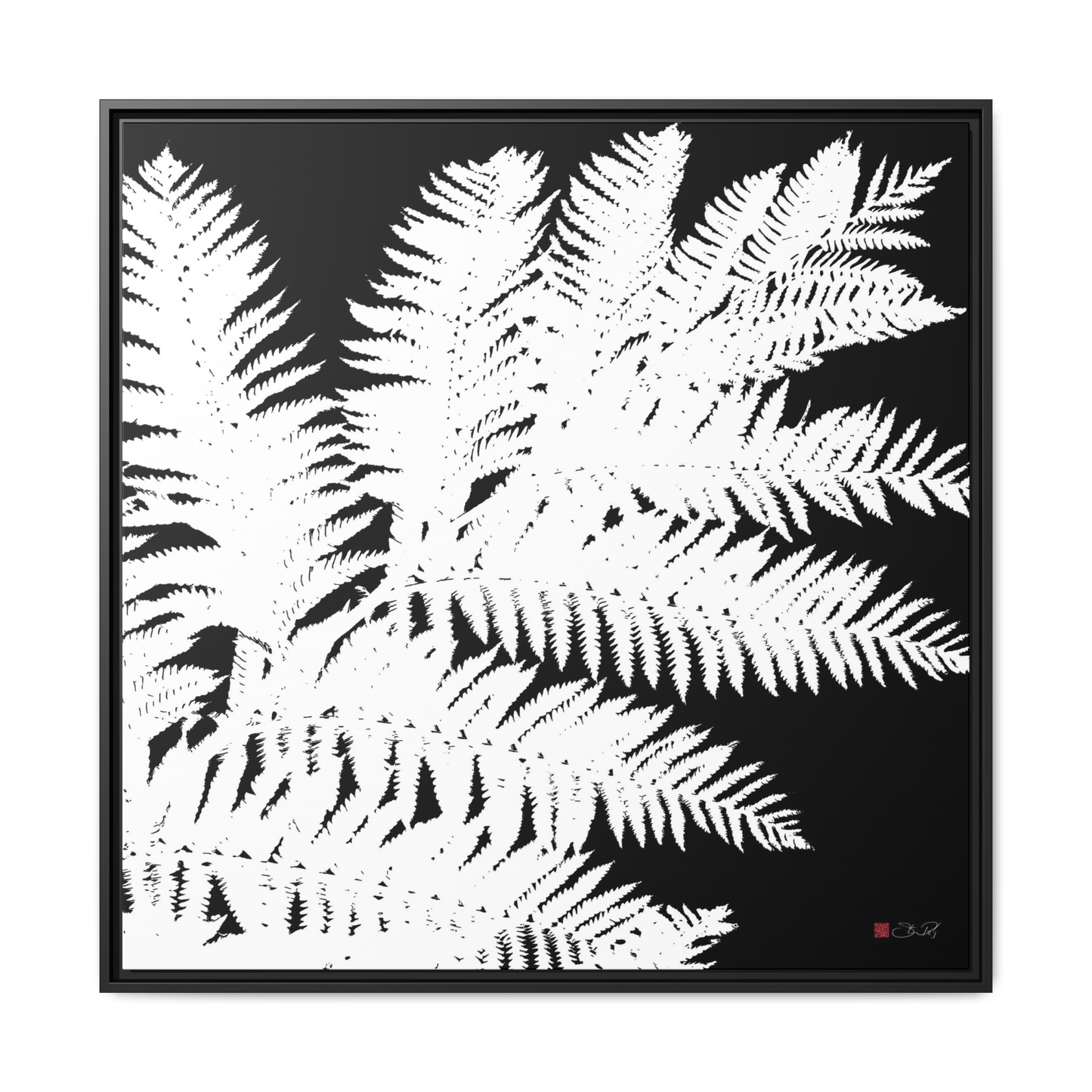 Tree Fern - 36x36" Framed Canvas