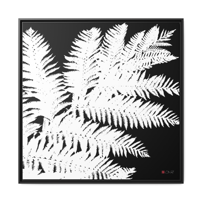 Tree Fern - 36x36" Framed Canvas