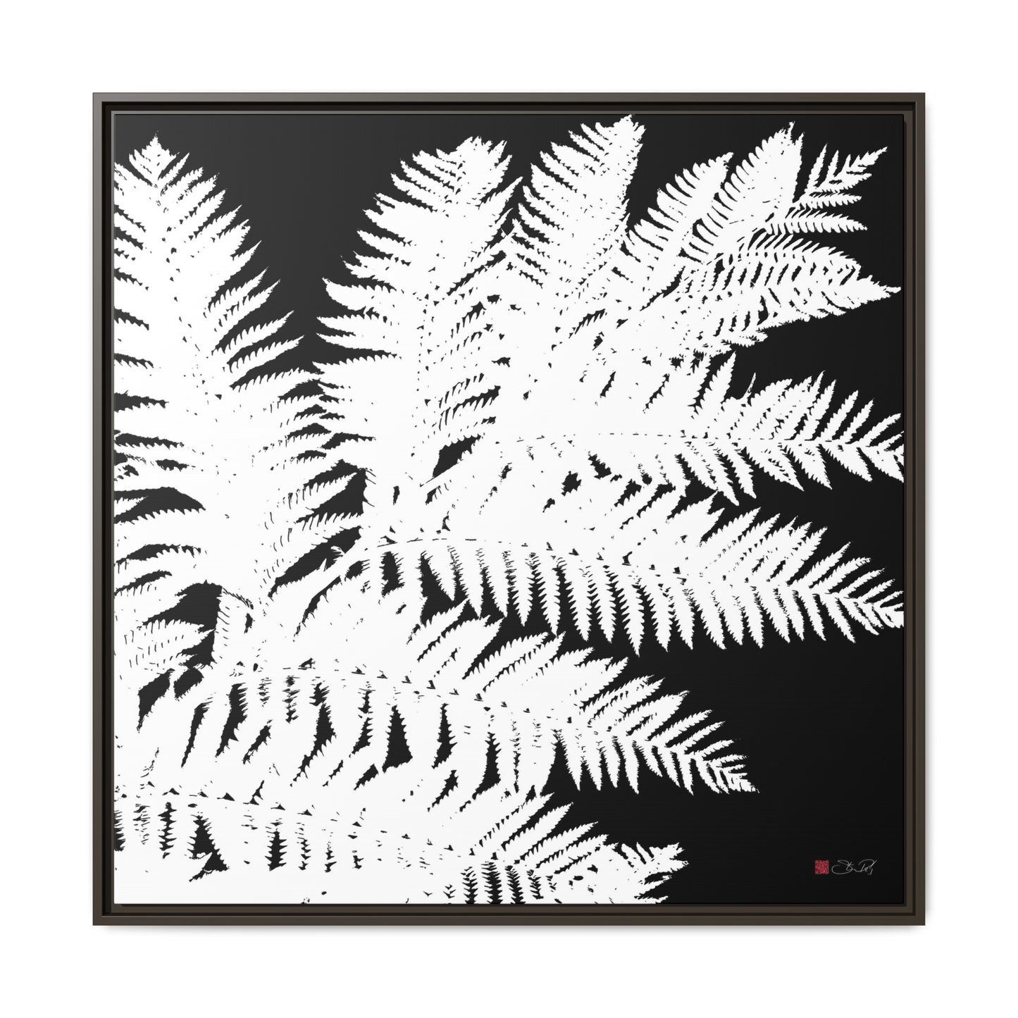 Tree Fern - 36x36" Framed Canvas