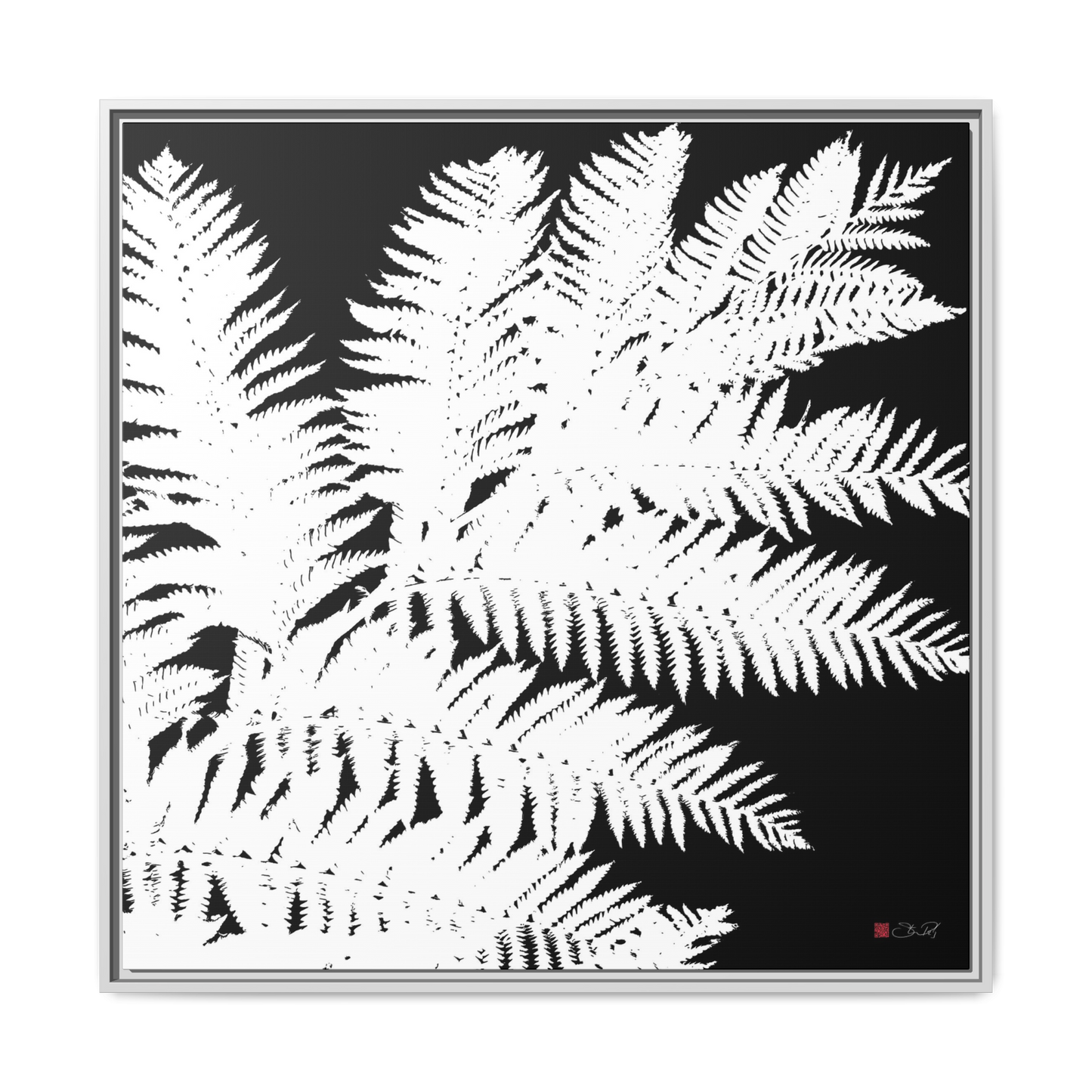 Tree Fern - 36x36" Framed Canvas