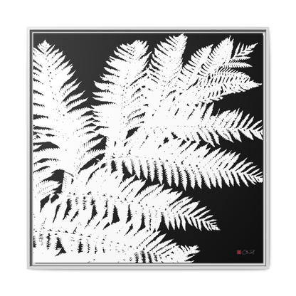 Tree Fern - 36x36" Framed Canvas